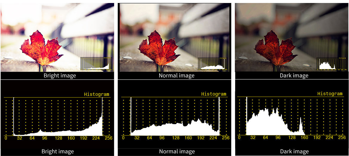 Brightness Histogram