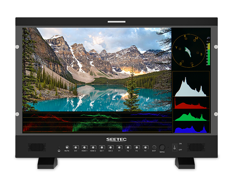 SEETEC P215 PRO 21.5